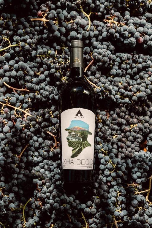 Alpeta Agritourism & Winery – רושניק (ליד ברט)